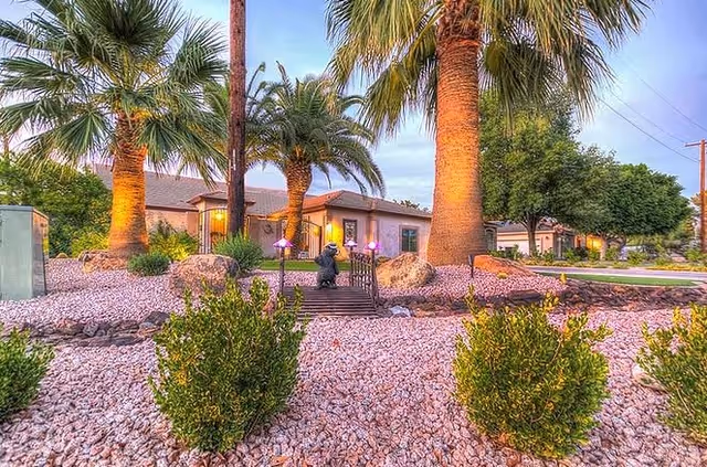 Front yard of a residential facility with large palm trees, small bushes, decorative rocks, a small wooden bridge, and a single-story building in the background during early evening.