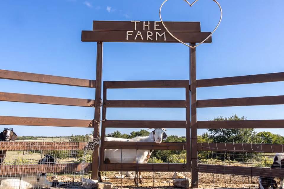 A wooden farm gate with a metal heart decoration and the words 'THE FARM' displayed at the top. Behind the gate, several goats are visible in a fenced outdoor area under a clear blue sky.