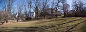 A grassy outdoor area with leafless trees and a few houses in the background under a clear blue sky.