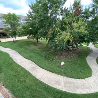 Curved concrete walking paths surrounded by well-maintained green grass and several leafy trees in an outdoor garden area of a senior living facility.