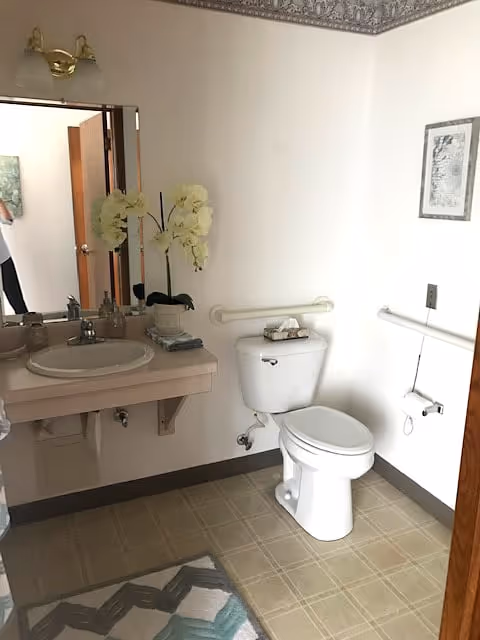 Small accessible bathroom featuring a toilet with grab bars, a wall-mounted sink and mirror, and a potted orchid on the counter.