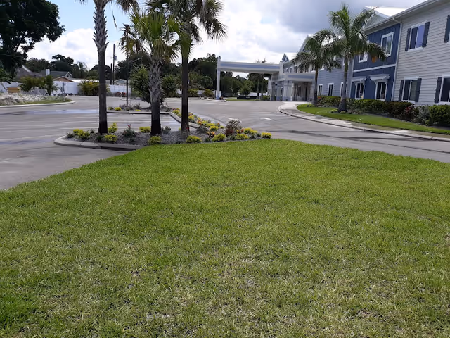 Grassy front lawn and circular driveway with palm trees leading to the entrance of a two-story light-blue and white senior living building.