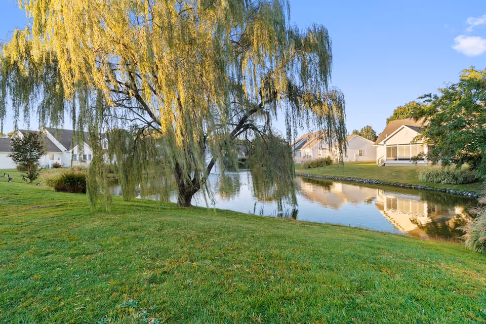 Willow tree beside a small pond with a grassy lawn and houses reflected in the water at a lakeside community.