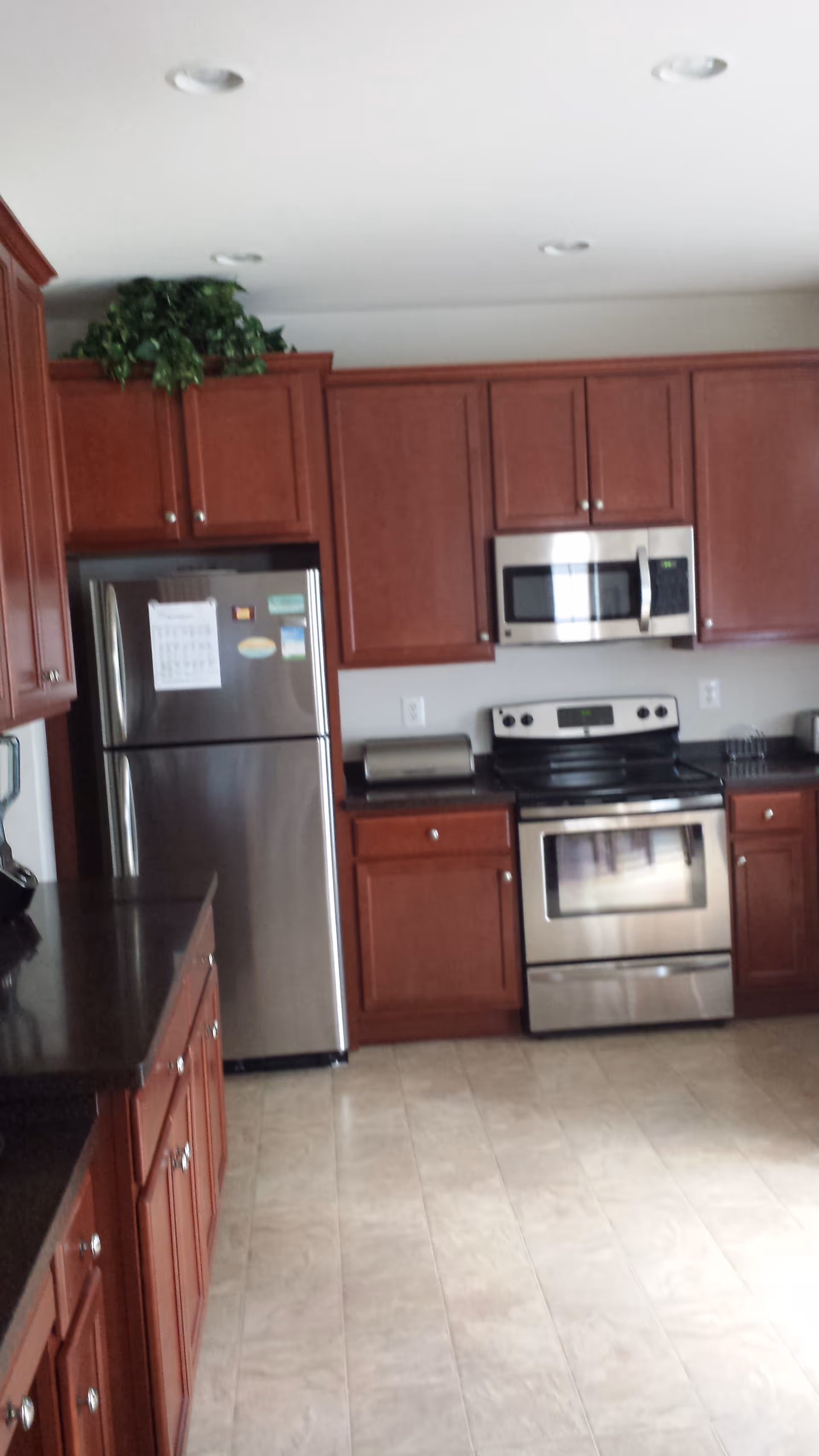 A kitchen with dark wood cabinets, stainless steel refrigerator, microwave, and oven. The floor is tiled, and there is a black countertop. A green plant is placed on top of the cabinets.