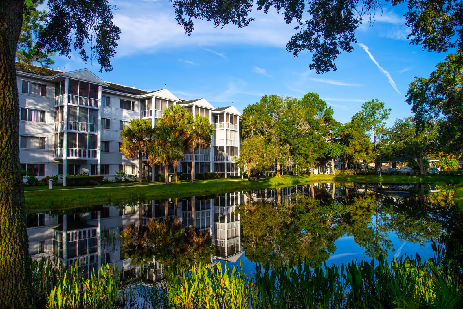 A view of the Aviva Senior Living building facade surrounded by lush greenery and a reflective pond.
