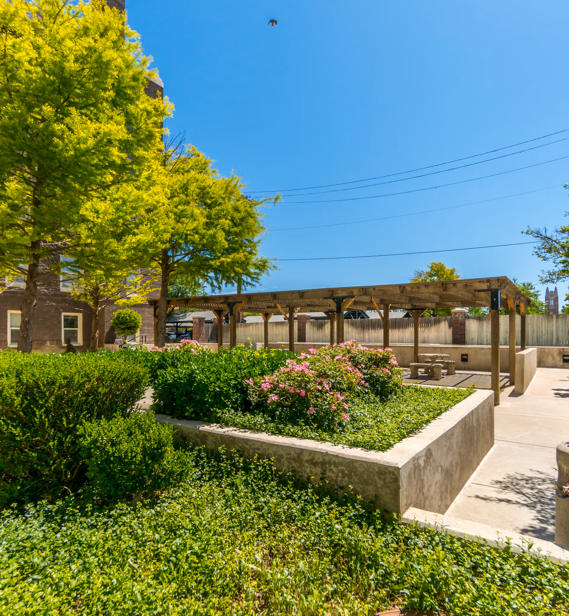 Outdoor garden area with lush green bushes, flowering plants, and trees under a clear blue sky. A wooden pergola structure with picnic tables is visible in the background, along with a concrete pathway and a brick building partially visible on the left side.