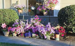 Front exterior of Quail Run Retirement Community with colorful potted flowers along the walkway.