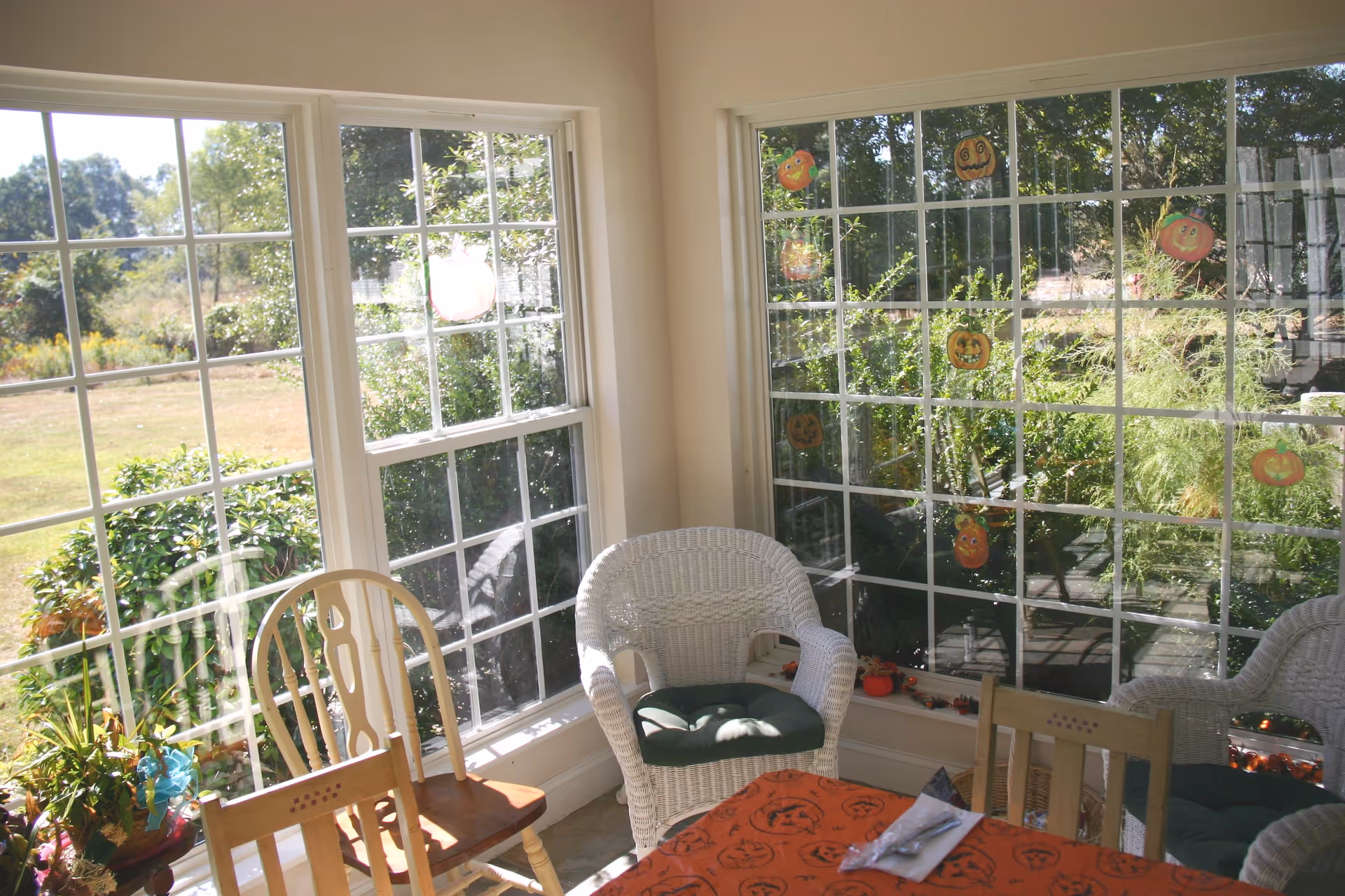 A sunlit corner of a room with large windows showing a green outdoor garden. The room has white wicker chairs with green cushions, wooden chairs, and a table covered with an orange tablecloth decorated with black pumpkin faces. The windows have small pumpkin decorations attached to the glass.