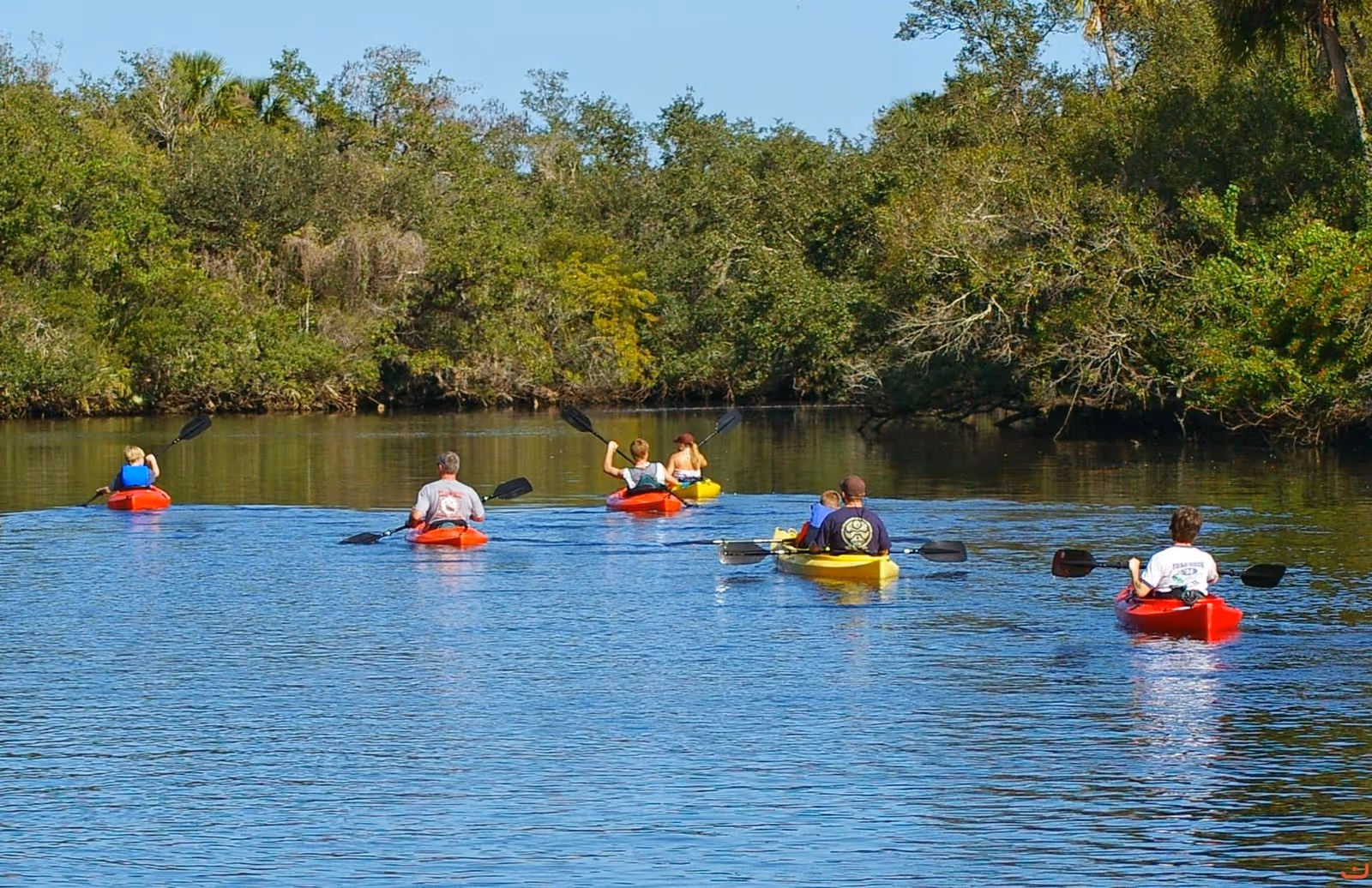 Several people paddling colorful kayaks on a calm river surrounded by trees.