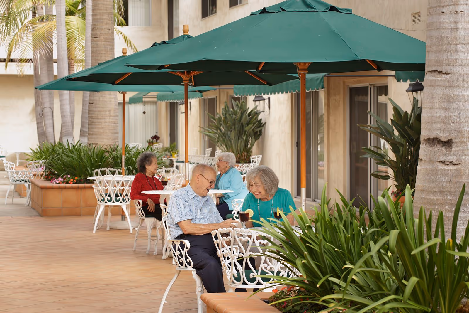 Several elderly people sitting at white metal tables with green umbrellas on a tiled patio outside a building, surrounded by potted plants and palm trees, enjoying drinks and conversation.