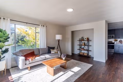 Bright living room with a gray sofa by a large window, wooden coffee table on a rug, floor lamp, open shelving in an alcove, and dark hardwood floors.