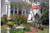 Outdoor garden area with various plants, flowers, and shrubs surrounding a small stone bench. A tree with thin branches is visible, and in the background, there is a building with a porch and a red umbrella providing shade.