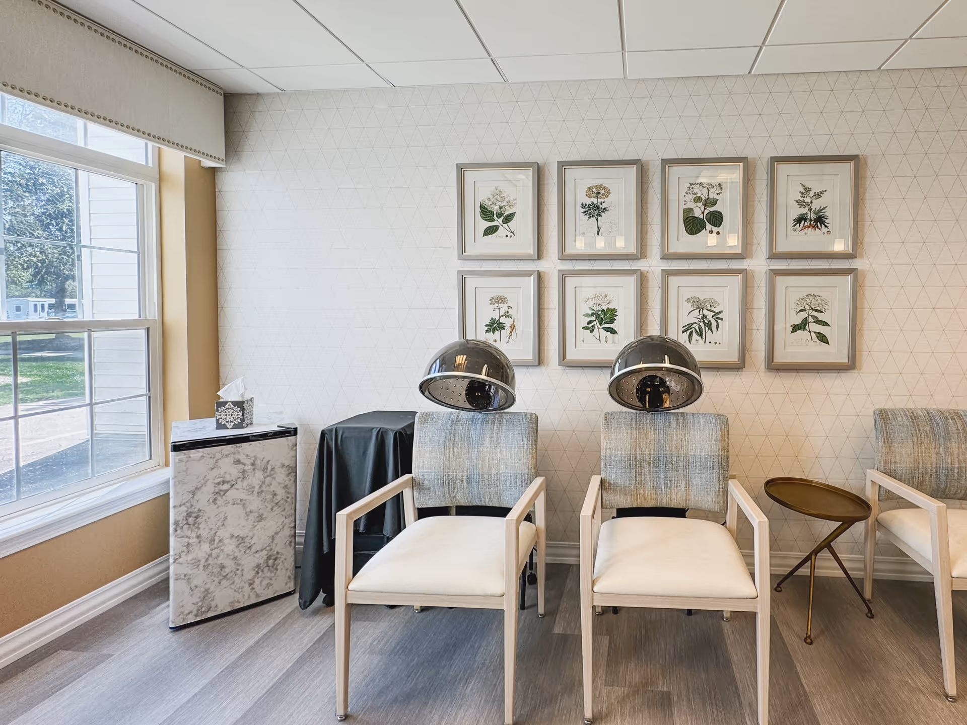 A bright room with three cushioned chairs featuring hair dryer hoods, a small round side table, a covered table, and a tissue box on a marble-patterned cabinet near a large window. The wall behind the chairs is decorated with eight framed botanical prints arranged in two rows.