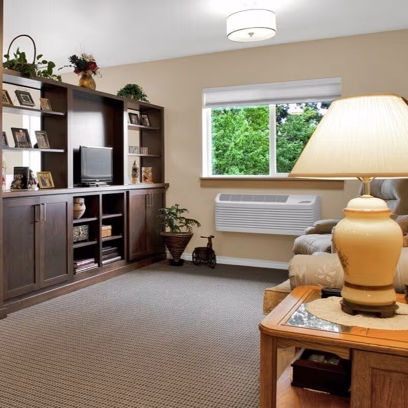 A cozy living room with a large dark wooden entertainment center holding a small TV and various framed photos and decorative items. There is a window with a view of green trees outside, a beige wall-mounted air conditioning unit below the window, a potted plant on the floor, and a beige armchair partially visible next to a wooden side table with a large beige lamp.