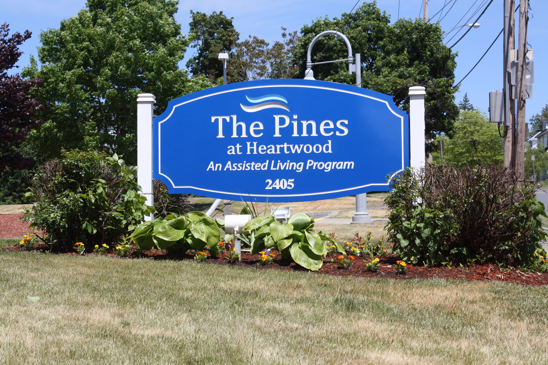 Blue entrance sign for The Pines at Heartwood assisted living set in a landscaped lawn.