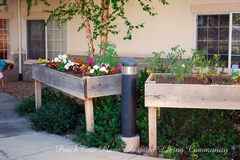 Raised wooden flower planters with blooming flowers beside a building facade and walkway.