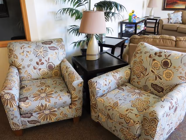 Two armchairs with floral patterned upholstery positioned around a small black side table with a beige lamp on it. In the background, there is a beige couch, a black shelving unit with board games, a floor lamp, and a large green plant against a white wall.