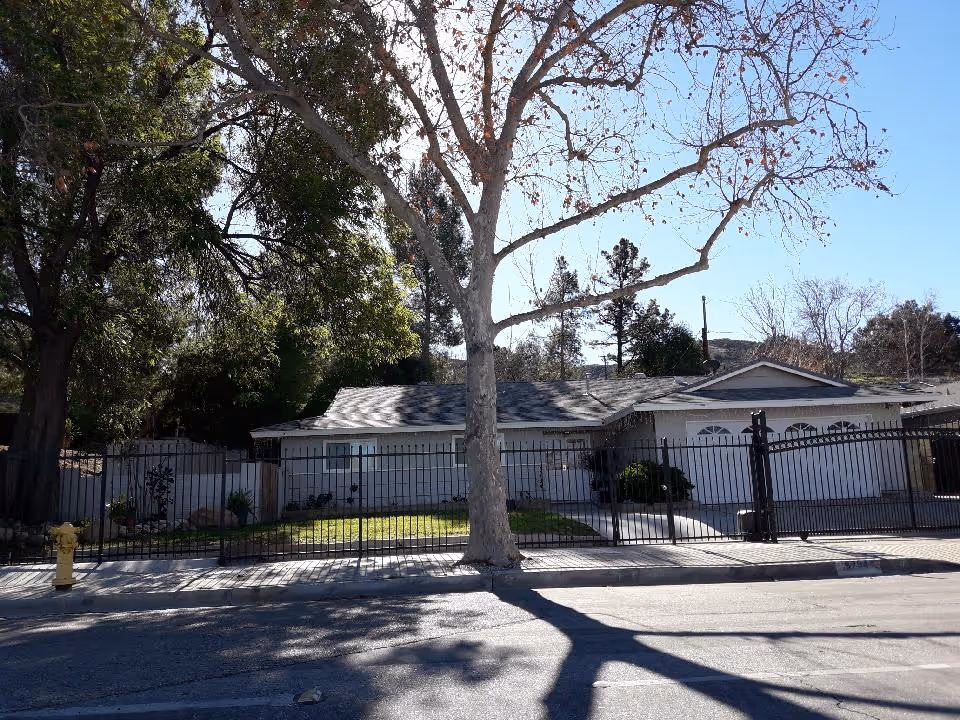 A single-story residential building with a gray roof and white garage doors, surrounded by a black metal fence. There is a large leafless tree in front of the building casting a shadow on the street. Green bushes and other trees are visible around the property under a clear blue sky.
