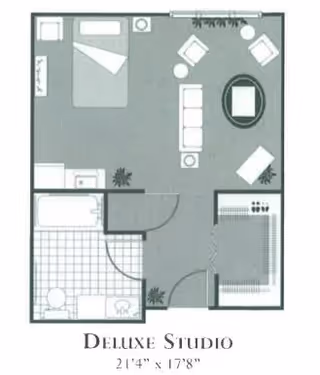 Floor plan of a deluxe studio apartment showing a combined living and sleeping area with a bed, sofa, chairs, and a small dining table. The layout also includes a bathroom with a bathtub, toilet, and sink, and a closet near the entrance.