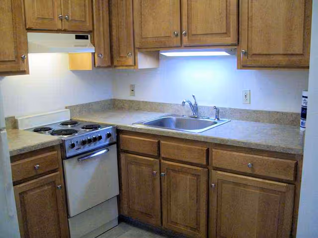 Small kitchen area with wooden cabinets, a countertop, a stainless steel sink with a faucet, an electric stove with four burners, and an exhaust hood above the stove. The walls are plain and there are electrical outlets above the countertop.