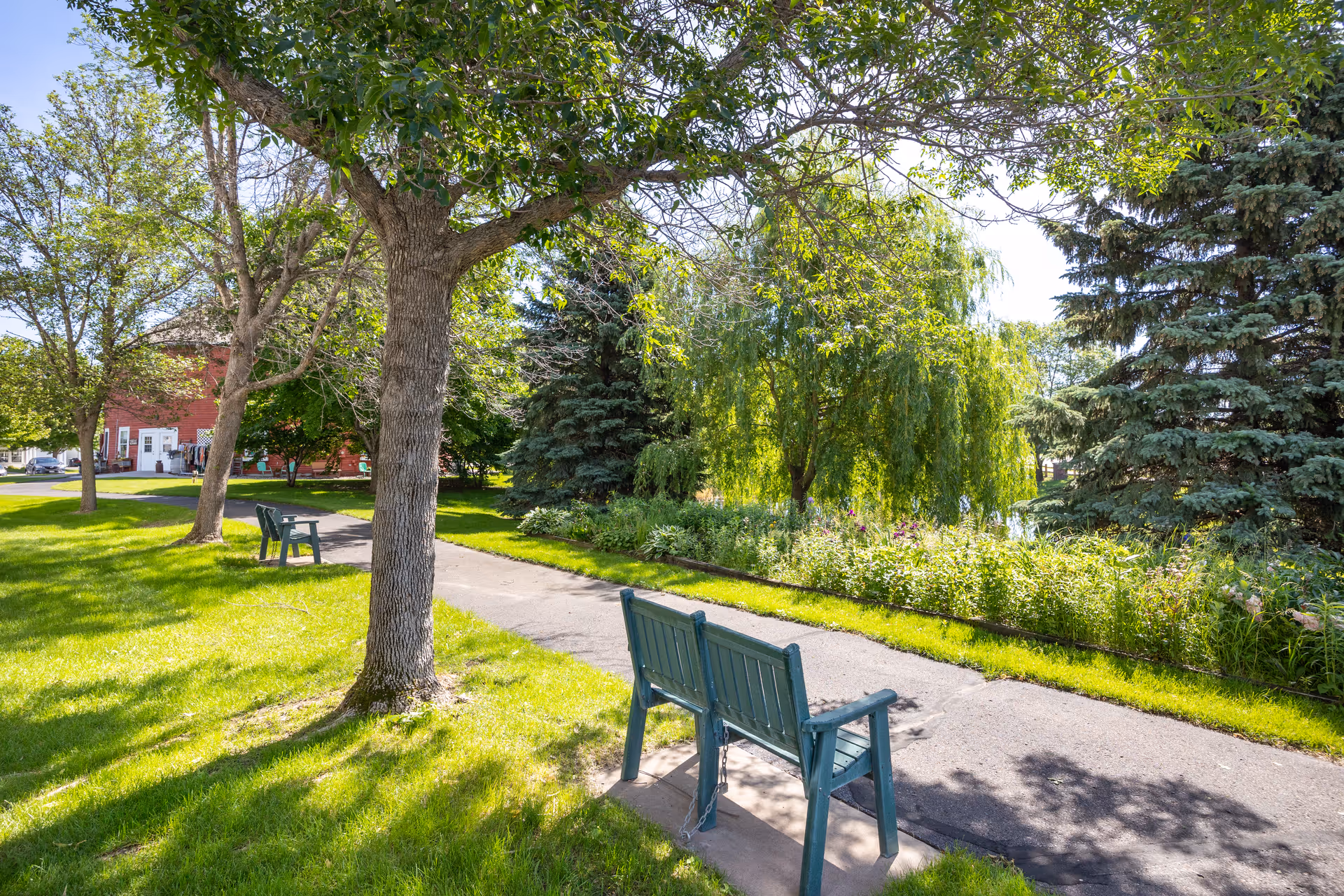 A sunny outdoor park area with green grass, trees, and a paved walking path. There are green benches along the path, and a red building is visible in the background.