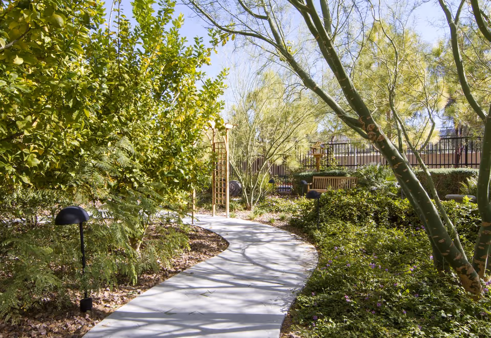 A winding concrete pathway through a lush garden with various green trees and shrubs. There are small black garden lights along the path and a wooden bench in the background near a black metal fence under a clear blue sky.