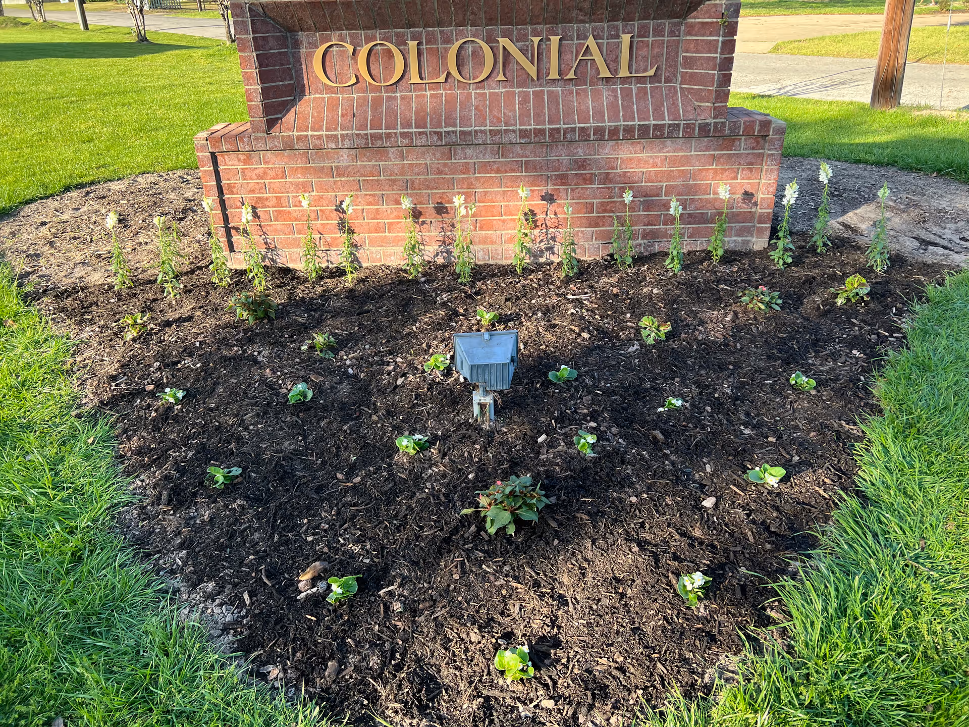 A landscaped flower bed with small plants and mulch in front of a brick sign that reads 'COLONIAL'. The area is surrounded by green grass and a street is visible in the background.