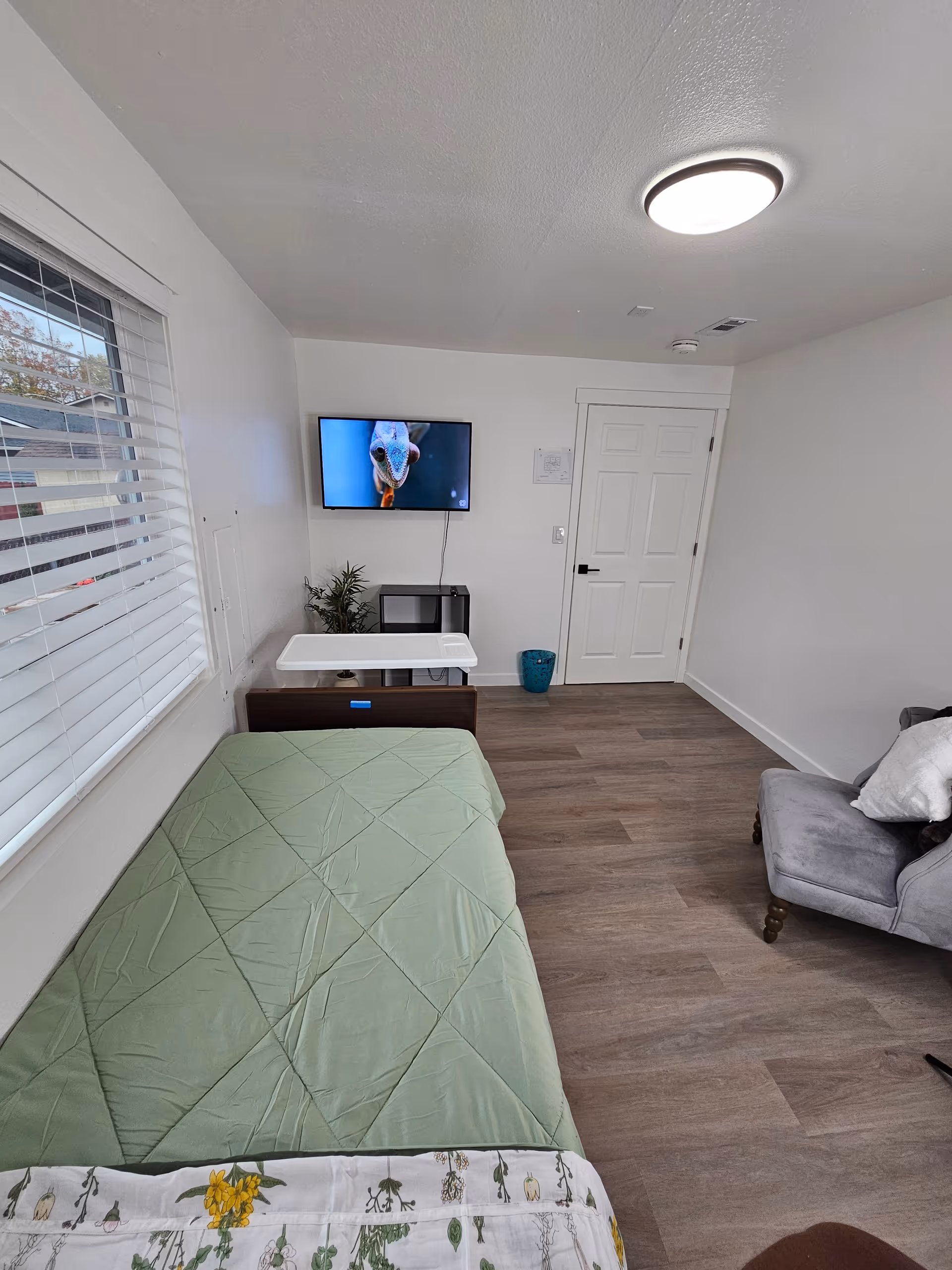 A small, tidy room with a single bed covered in a green quilt and a floral blanket at the foot. A window with white blinds is on the left wall. A flat-screen TV mounted on the wall shows a close-up image of a bird. Below the TV is a small black table with a plant on it. A white door is on the far wall, and a gray upholstered chair with a white pillow is on the right side of the room. The floor is wood laminate, and a round ceiling light illuminates the space.