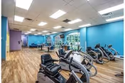 Bright indoor fitness room with multiple recumbent bikes and cardio machines, wood-look flooring and large arched windows.