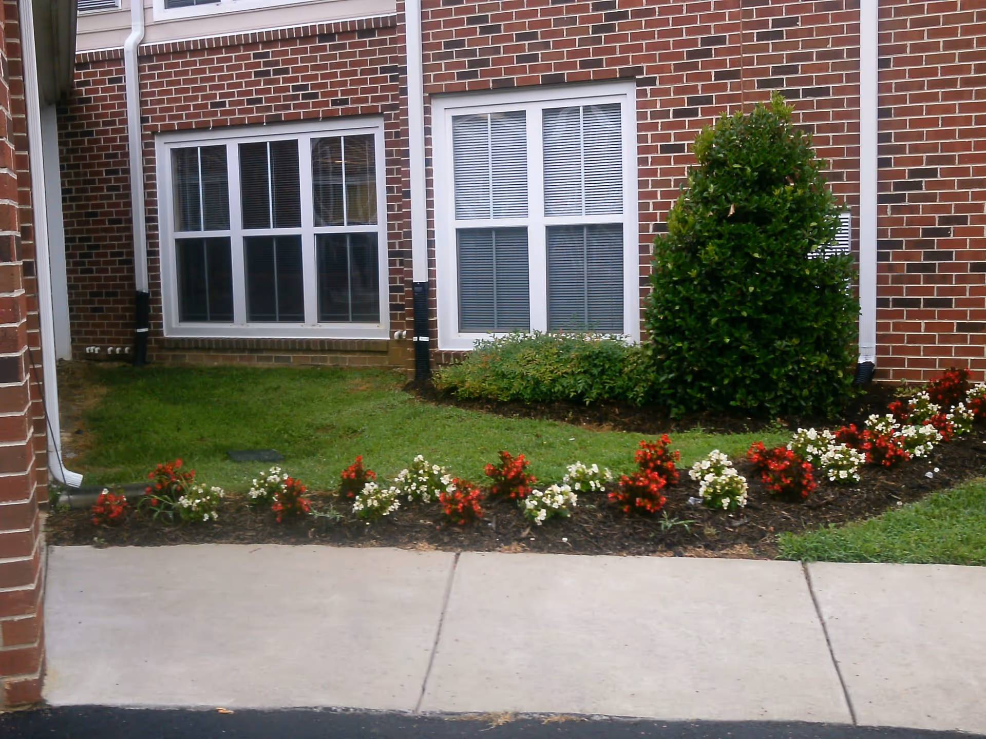 A small garden area outside a brick building with two large windows. The garden has a neatly trimmed green bush, a row of red and white flowers, and a patch of green grass. A concrete sidewalk runs in front of the garden.