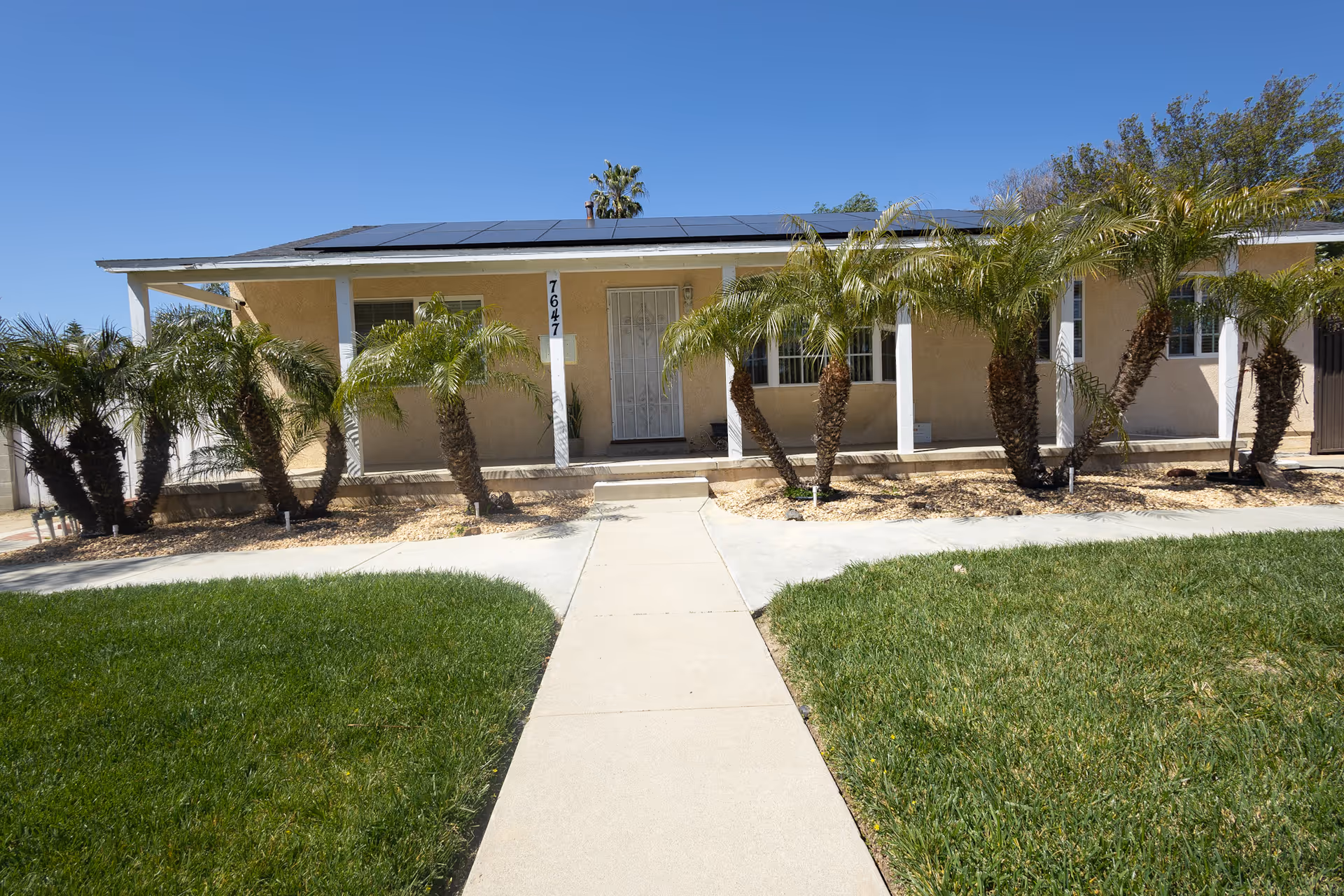 Front exterior view of a single-story assisted living facility building with a beige facade, a white door, several windows, and a covered porch supported by white columns. There are multiple palm trees and landscaped areas with mulch and grass on either side of a concrete walkway leading to the entrance. Solar panels are visible on the roof under a clear blue sky.