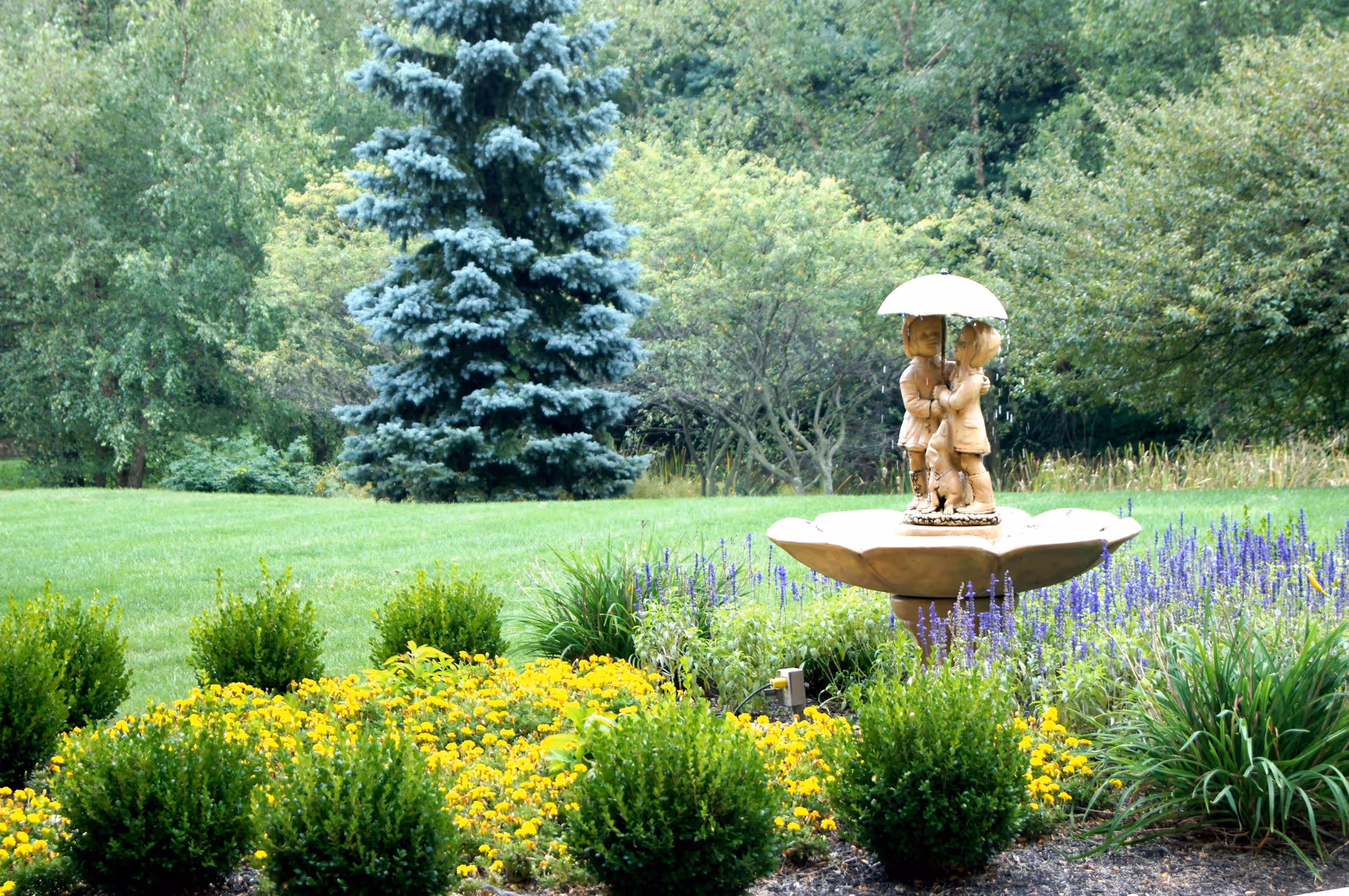 A garden scene featuring a decorative fountain with a statue of two children holding an umbrella. The fountain is surrounded by vibrant yellow and purple flowers, green bushes, and lush grass. In the background, there are various trees including a large evergreen tree.