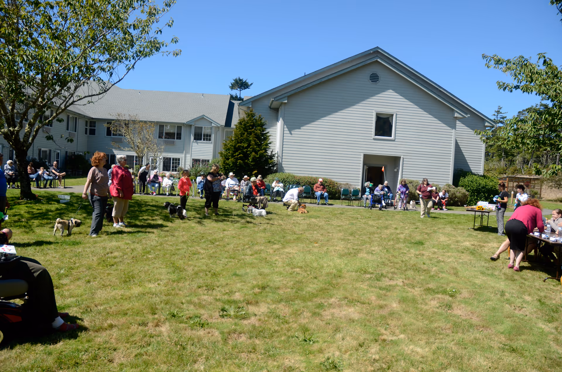 Residents and visitors gathered on a sunny grassy courtyard in front of a two-story assisted living building, with chairs, tables and a few dogs visible.