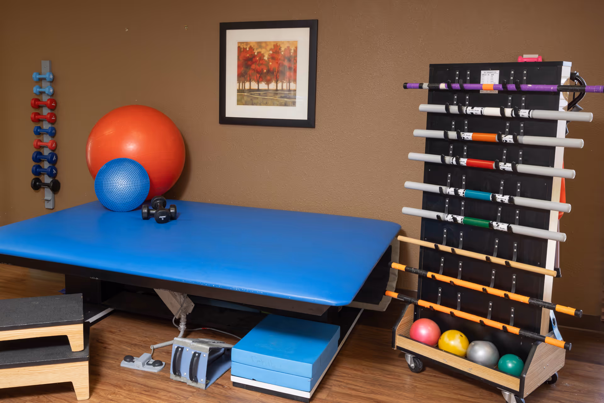 A physical therapy or exercise room with a blue padded therapy table, various exercise balls including a large red and a smaller blue one, several sets of dumbbells mounted on the wall, a rack holding multiple weighted bars, and a wooden step platform. A framed picture of trees with red leaves hangs on the brown wall.