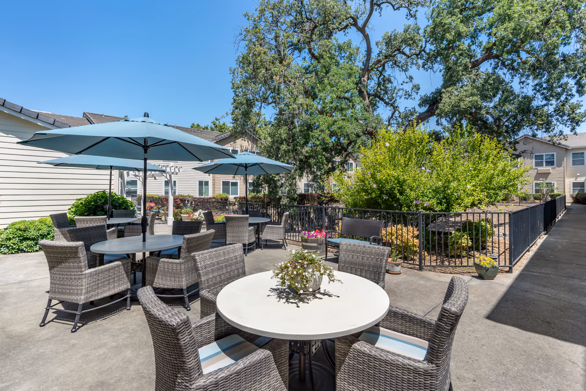 Outdoor patio area with round tables and wicker chairs, each table shaded by large blue umbrellas. The patio is surrounded by greenery including bushes and trees, with residential buildings in the background under a clear blue sky.