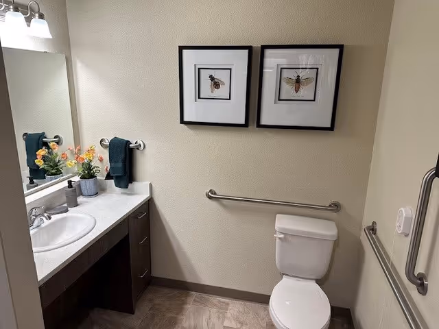A clean and well-lit bathroom with a white toilet, a countertop with a sink, a large mirror, and two framed insect illustrations on the wall. There are handrails installed near the toilet and on the wall, a towel hanging on a towel rack, and a small potted plant with flowers on the counter.