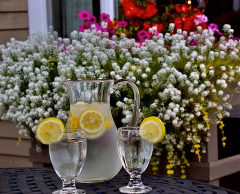 A glass pitcher filled with water and lemon slices, accompanied by two glasses of water each garnished with a lemon slice, placed on a dark outdoor table. In the background, there is a vibrant flower box with white, red, and purple flowers against the exterior wall of a building.