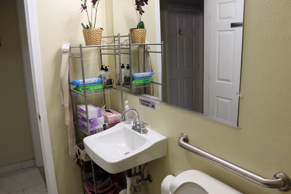 A small bathroom with a white sink and a toilet. Above the sink is a large mirror reflecting a door with the number 3. A metal shelf next to the sink holds cleaning supplies, soap dispensers, and two potted plants with purple flowers. A grab bar is installed on the wall next to the toilet.