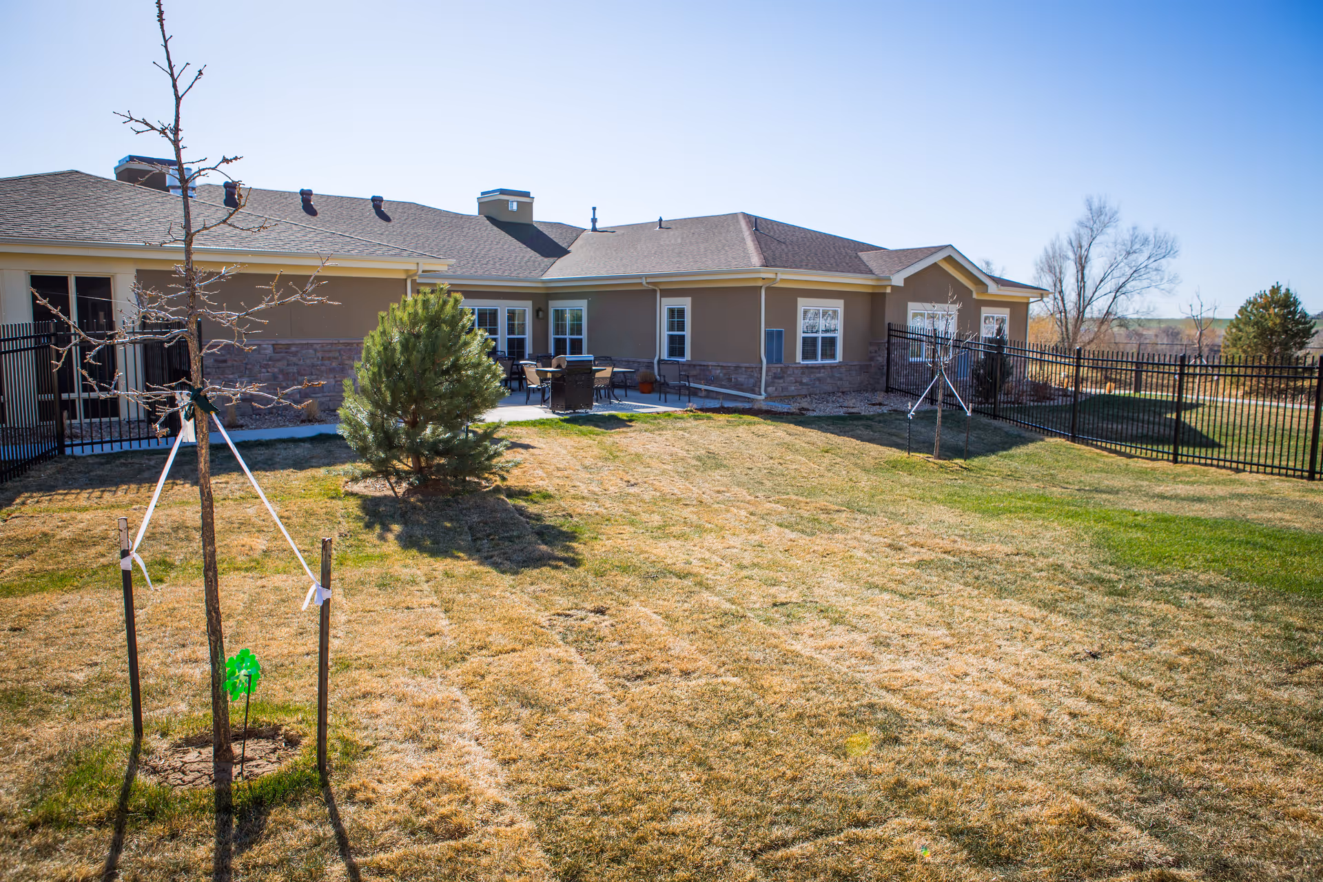 Outdoor view of a senior living facility with a grassy yard, a small tree supported by stakes, a larger bush, and a patio area with outdoor furniture. The building has beige walls, multiple windows, and a fenced yard under a clear blue sky.