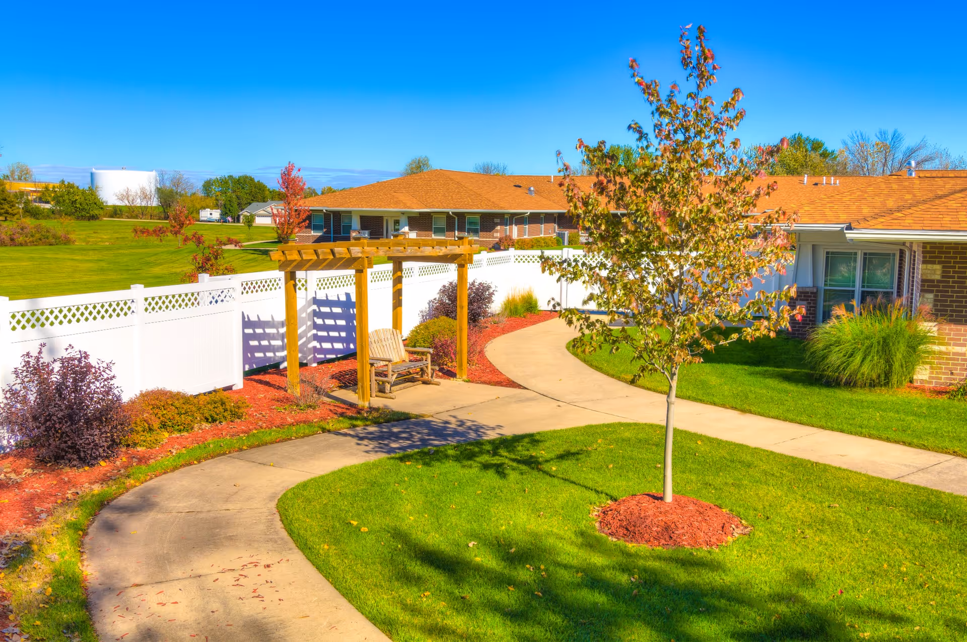 A sunny courtyard with a curved concrete walkway, a small tree, a wooden pergola and bench beside a white fence and single-story building.