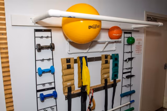 Wall-mounted exercise equipment including various dumbbells, weighted bags, resistance bands, and large exercise balls in a room with white walls and a closed door.