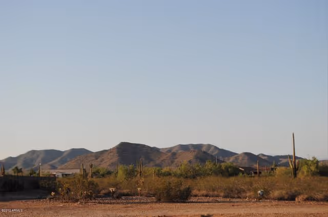 Desert landscape with saguaros and low mountains under a clear, pale blue sky.