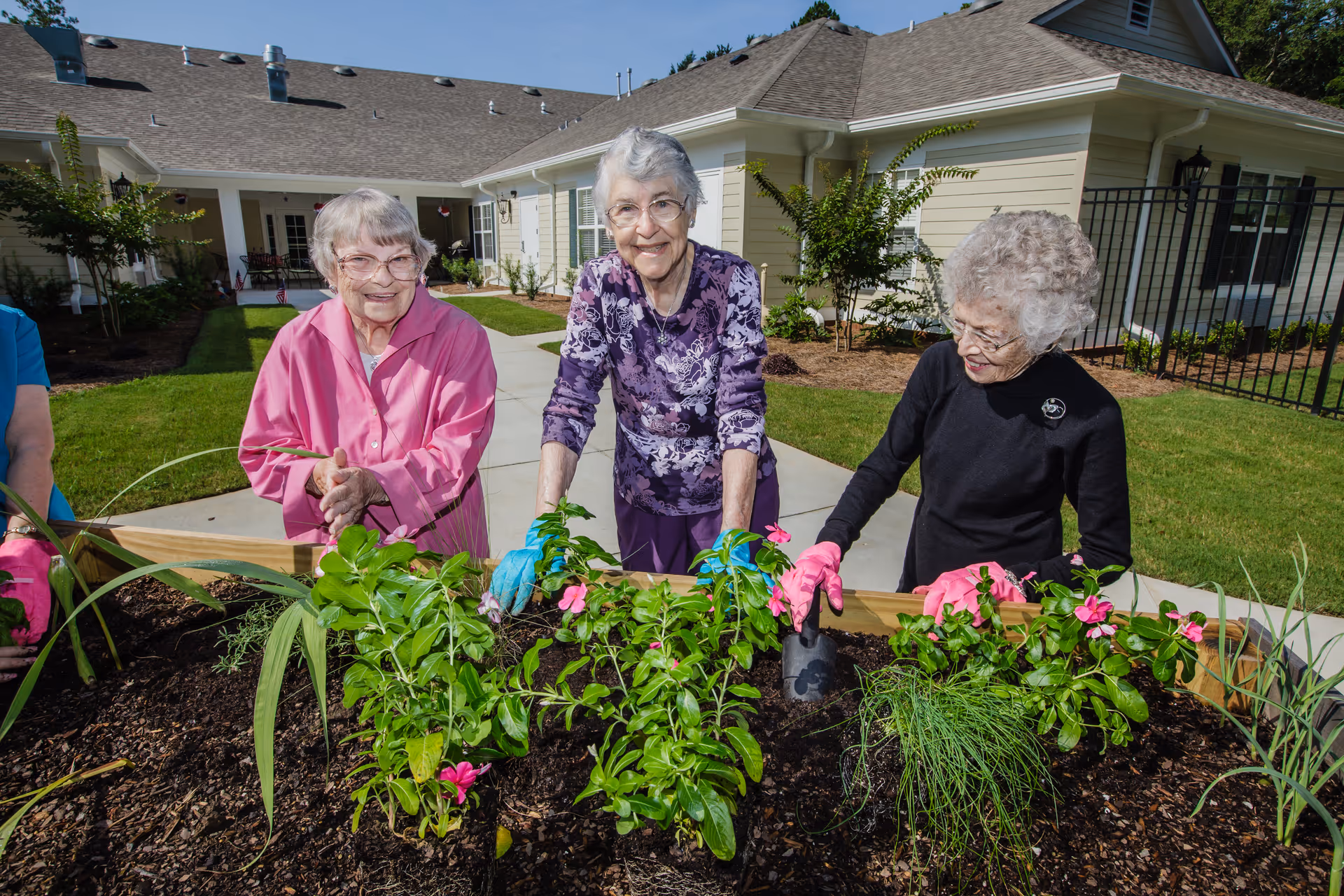 Three elderly women gardening together outdoors in a raised garden bed with green plants and pink flowers, in front of a light-colored senior living facility building under a clear blue sky.
