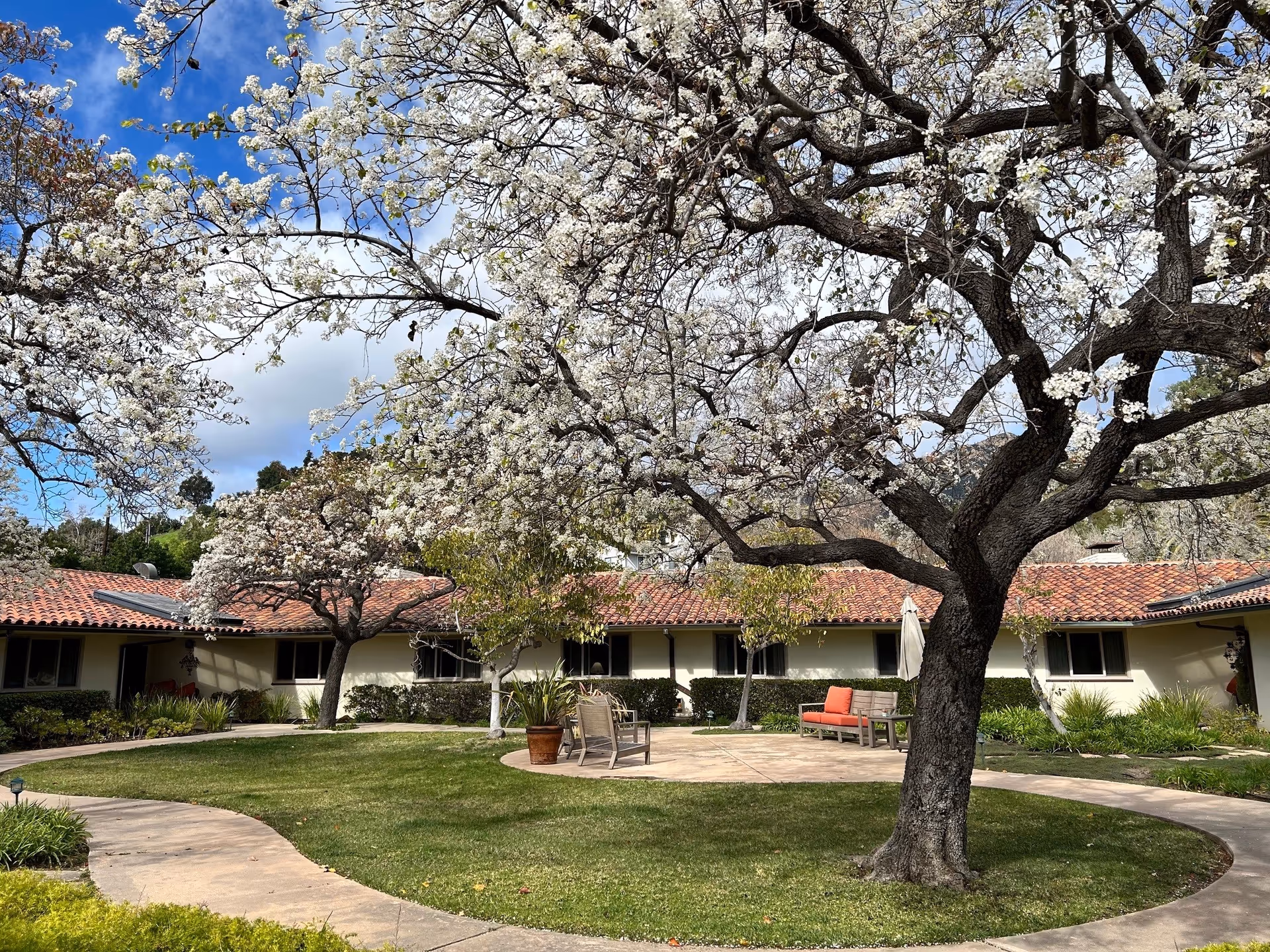 Courtyard with blooming trees, a circular walkway and outdoor seating in front of a single-story building with a red tile roof.