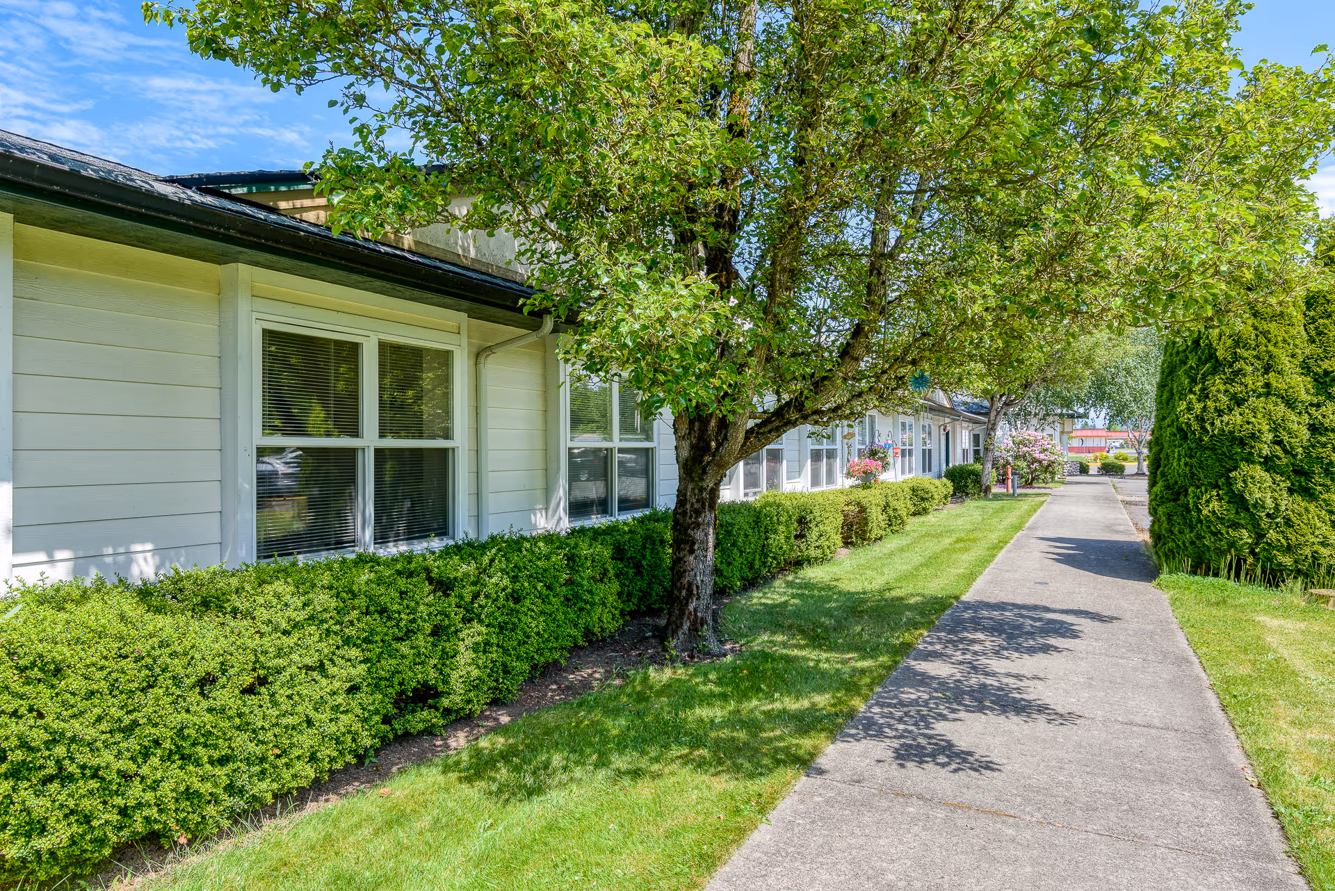 Landscaped exterior walkway beside a single-story building with windows, hedges, and a tree under a blue sky.