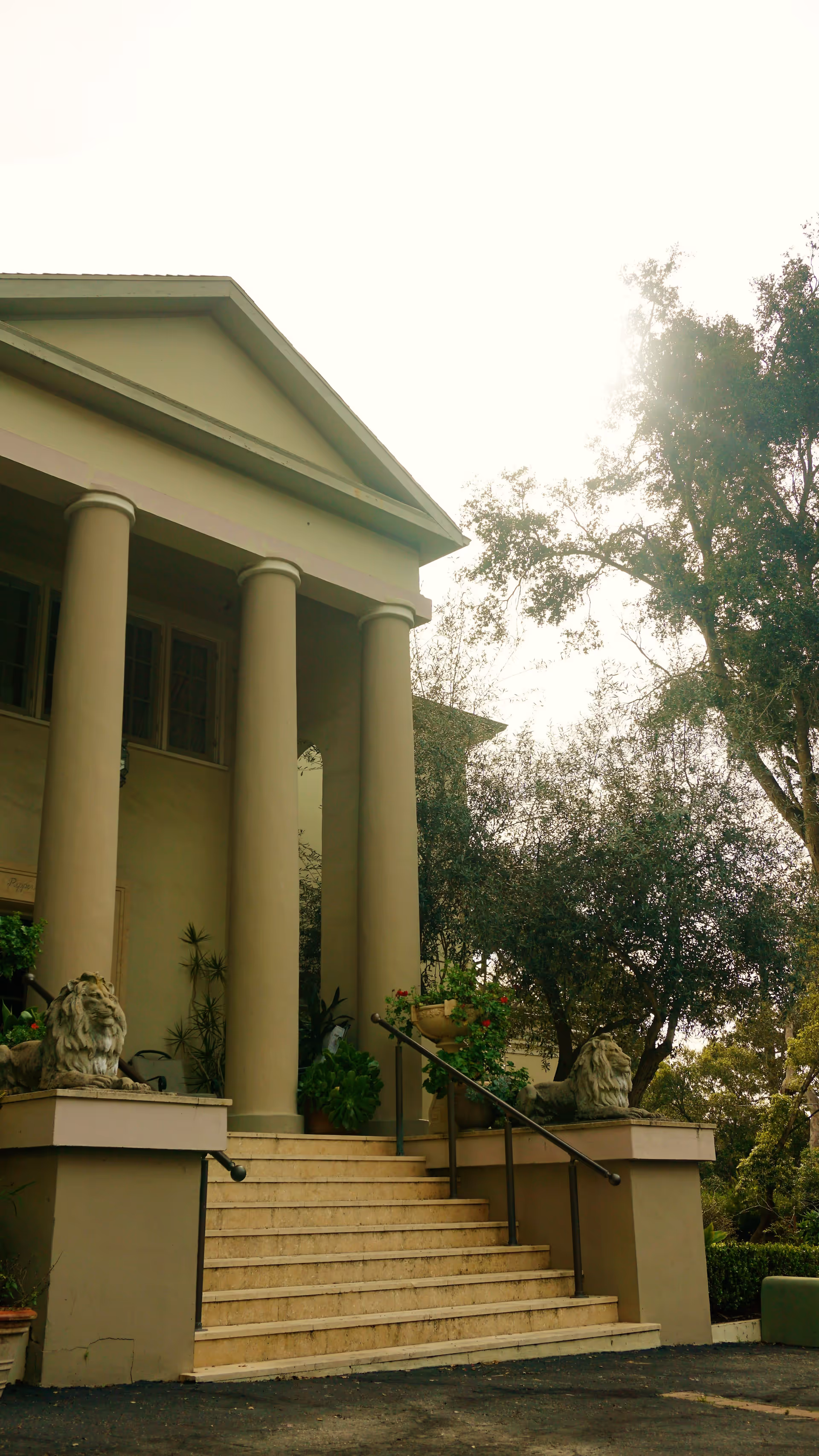 Exterior view of a building entrance with large columns and a staircase flanked by two lion statues. There are plants and trees around the entrance, and the sky is bright above.
