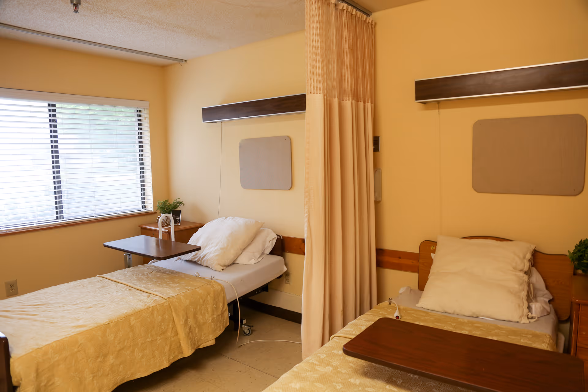 A room with two hospital-style beds separated by a beige privacy curtain. Each bed has a pillow and a beige bedspread, with a wooden overbed table. There is a window with blinds on the left side and small bedside tables with plants next to each bed. The walls are painted a light yellow color.
