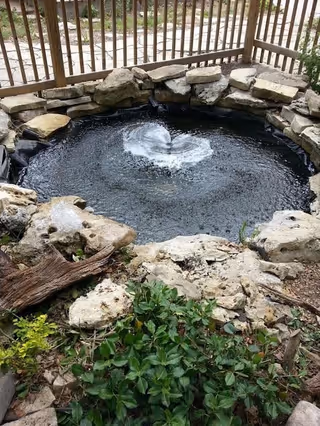 A small circular pond with bubbling water surrounded by rocks and a wooden fence. There are some green plants and a piece of driftwood near the pond.