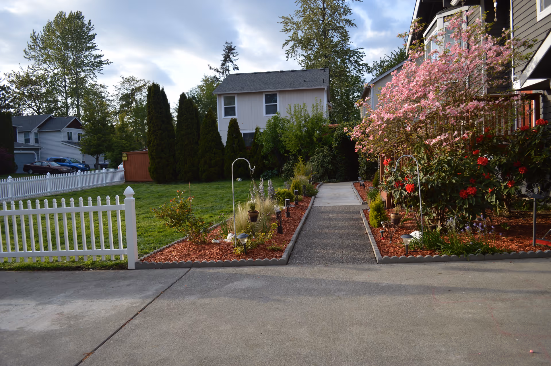 A paved walkway bordered by flower beds with various plants and flowers, including a blooming pink tree on the right side. The walkway leads to a residential area with houses and tall evergreen trees in the background. A white picket fence is visible on the left side, and the sky is partly cloudy.