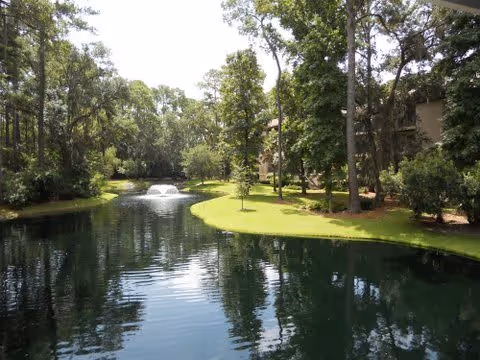 A serene outdoor scene featuring a pond with a small fountain in the center, surrounded by lush green grass and tall trees. A building is partially visible on the right side behind the trees.